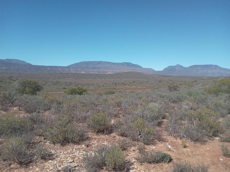 4 Bedroom Property for Sale in Riversdale Western Cape